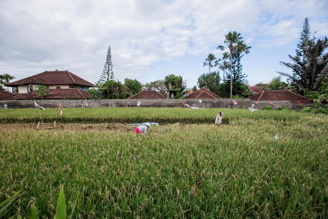 Villa Piece Of Peace Private 3Br With Large Pool And Garden Canggu Esterno foto